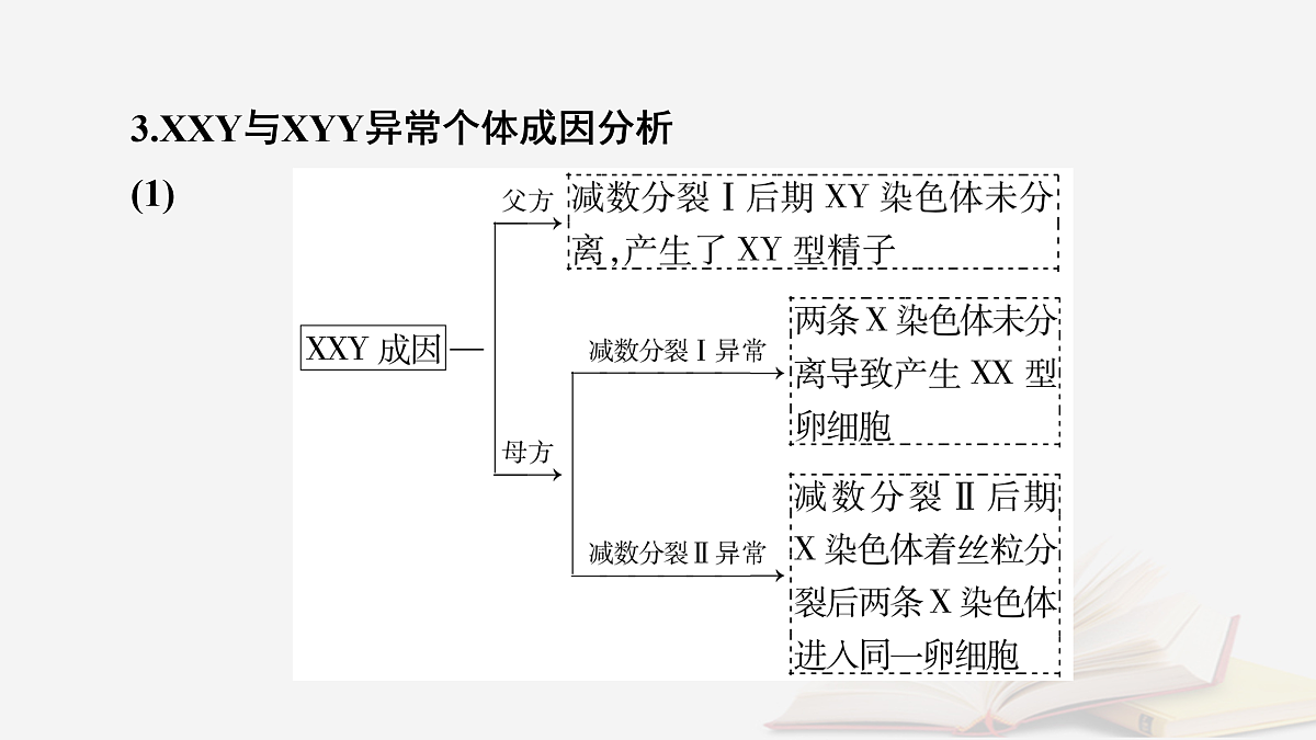 17432334第7页