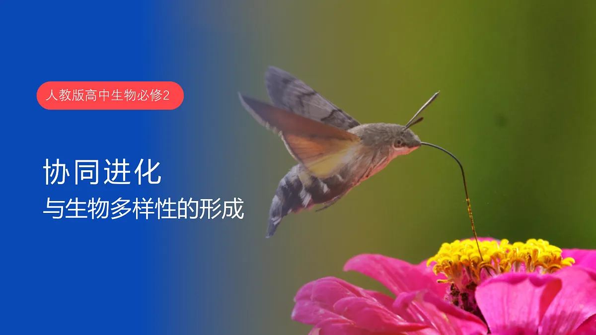 17432337第1页