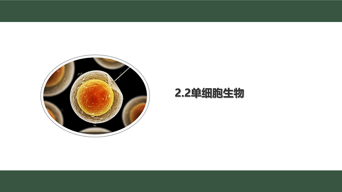 17433136第1页