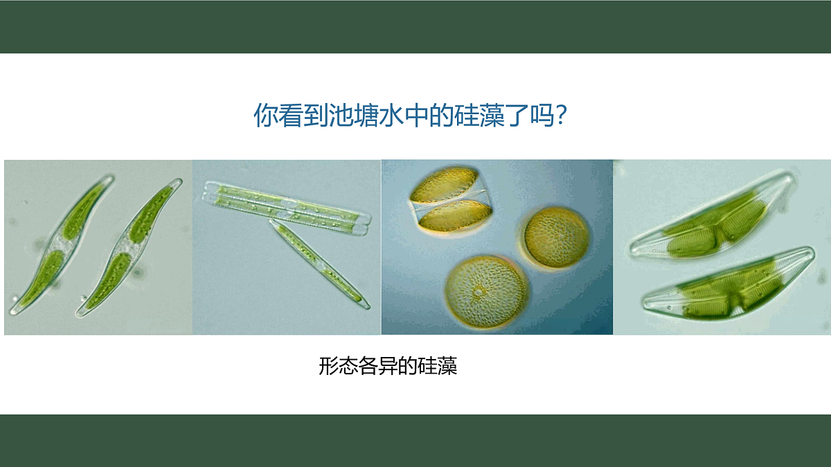 17433136第2页