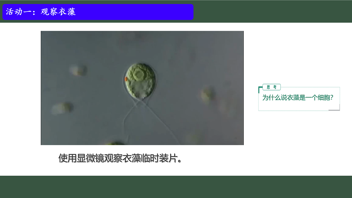 17433136第5页