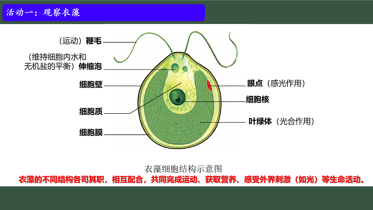 17433136第6页