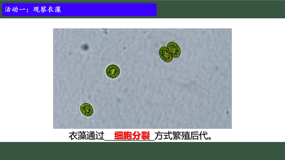 17433136第7页