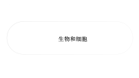 2026年中考生物+一轮考点复习课件：生物和细胞