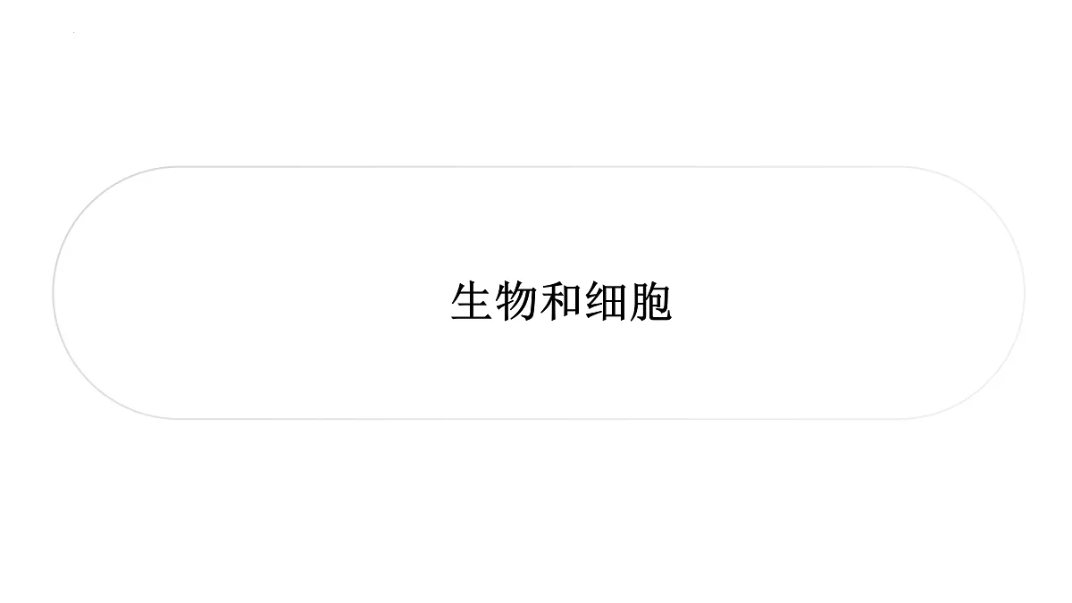 17433138第1页