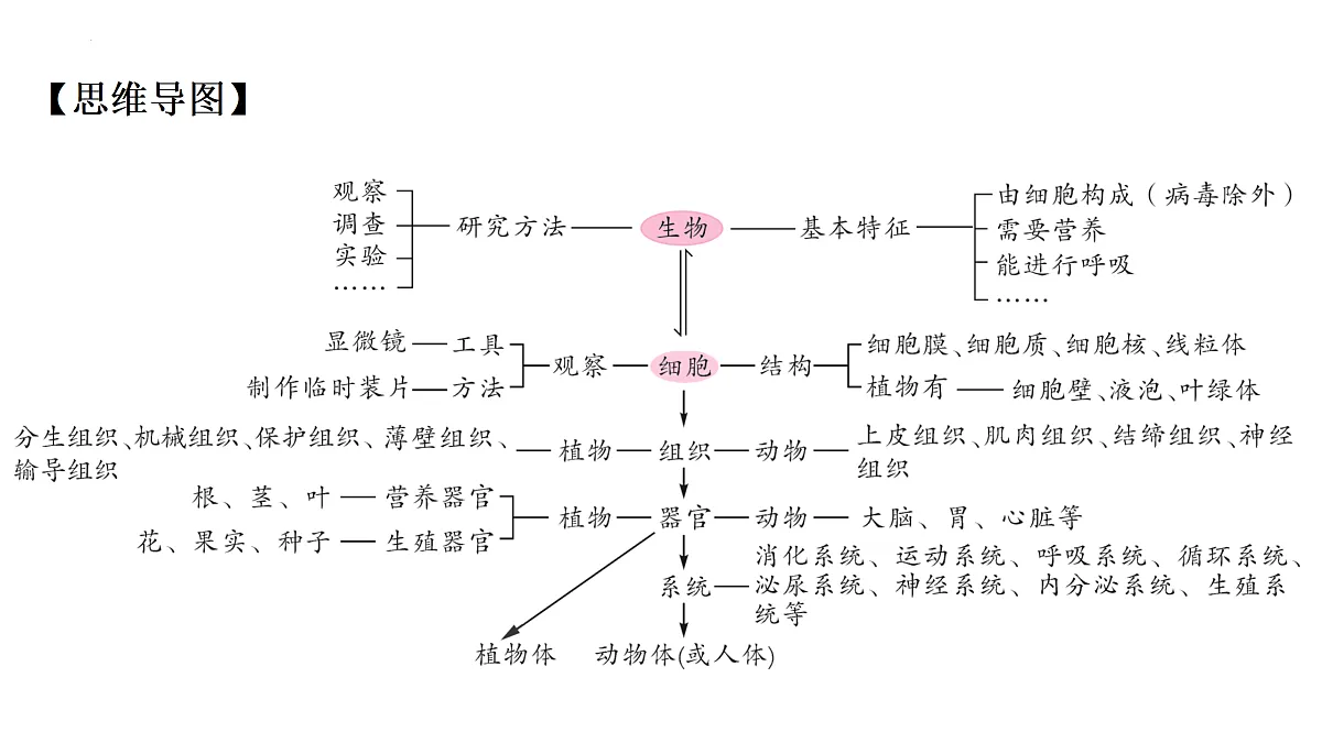 17433138第2页
