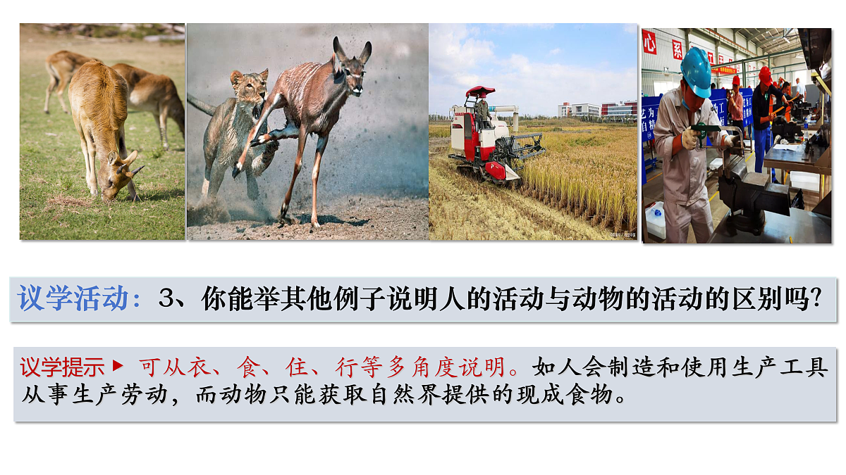 17433799第6页