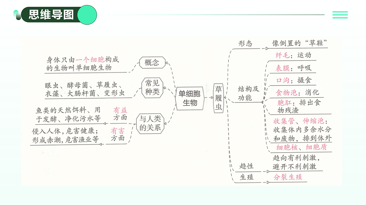 17433835第2页
