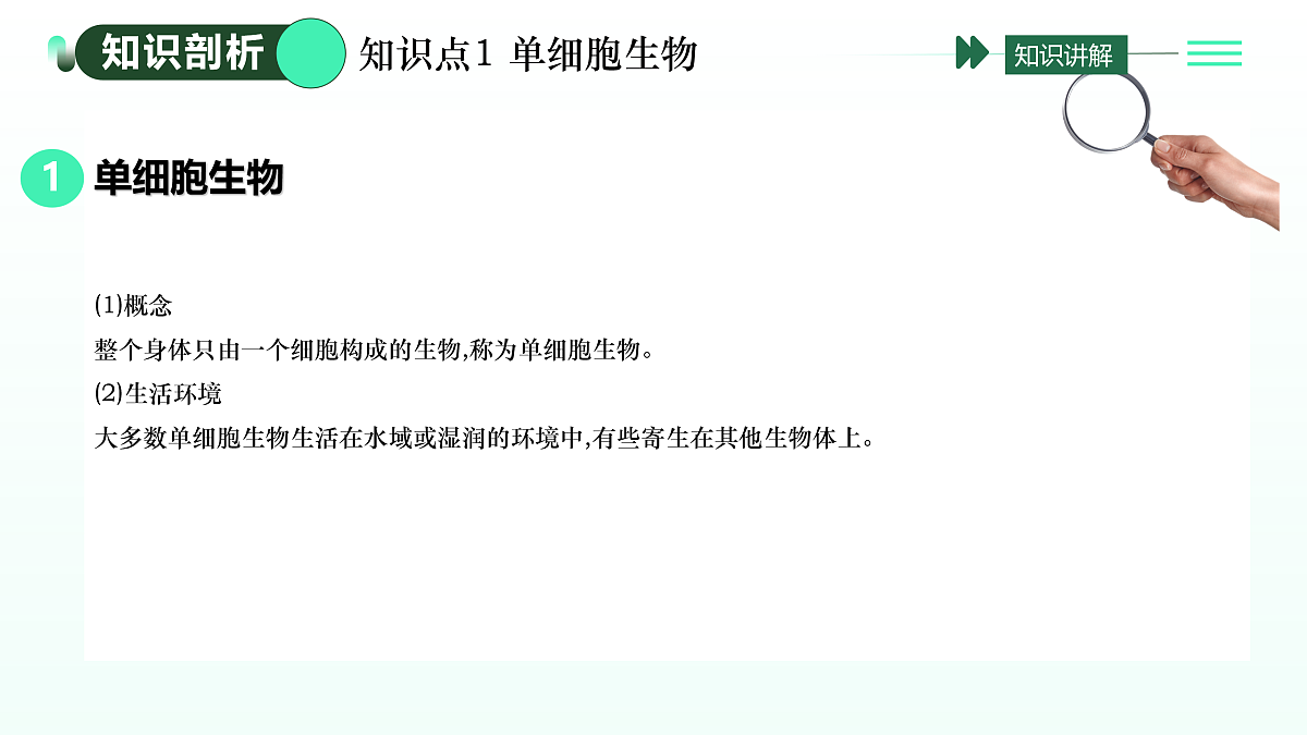 17433835第3页