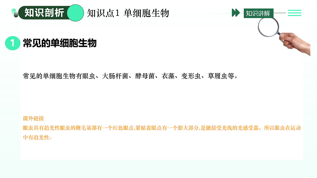 17433835第4页