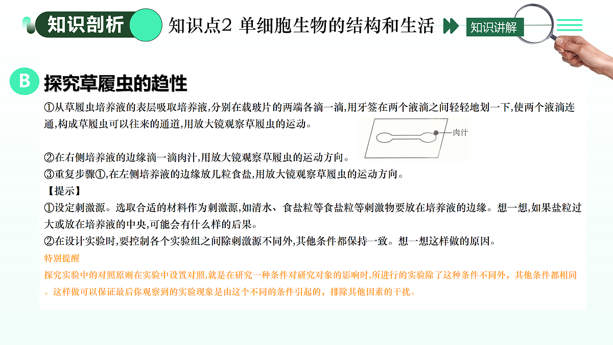 17433835第6页