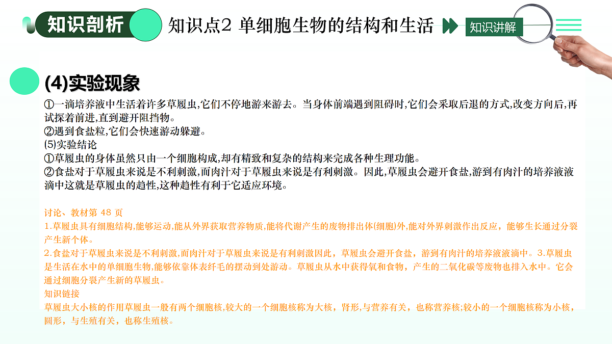 17433835第7页
