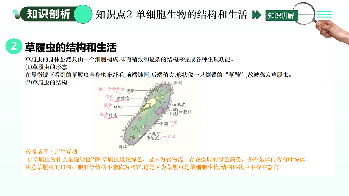 17433835第8页