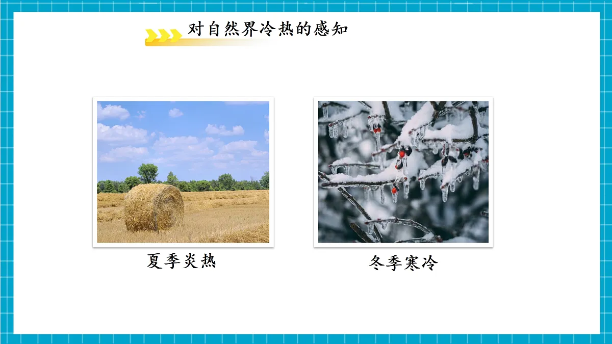 1.2 科学测量 第3课时 课件第4页