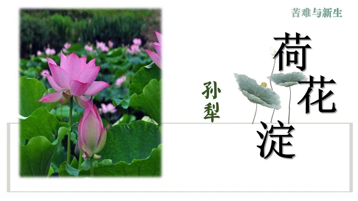17437218第1页