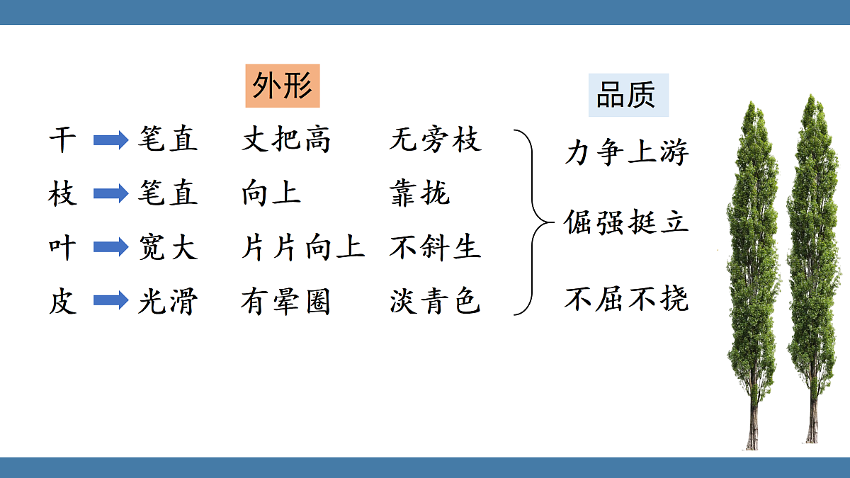 17439193第2页