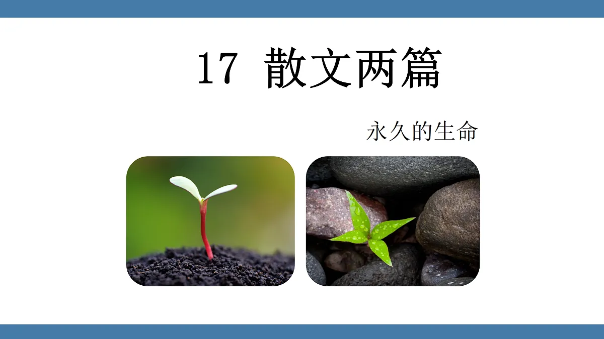 17439194第1页