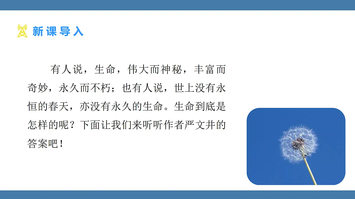 17439194第3页