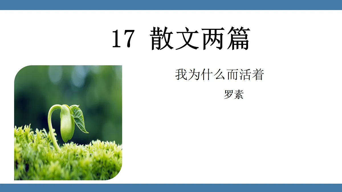17439195第1页
