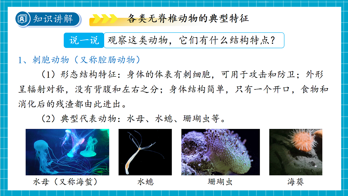 2.3 多姿多彩的动物 第1课时 课件第7页