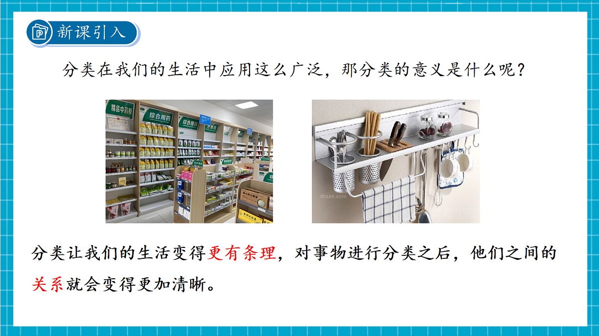 2.4 生物的分类 课件第7页
