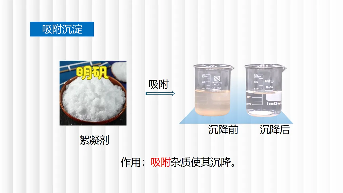 17442953第7页