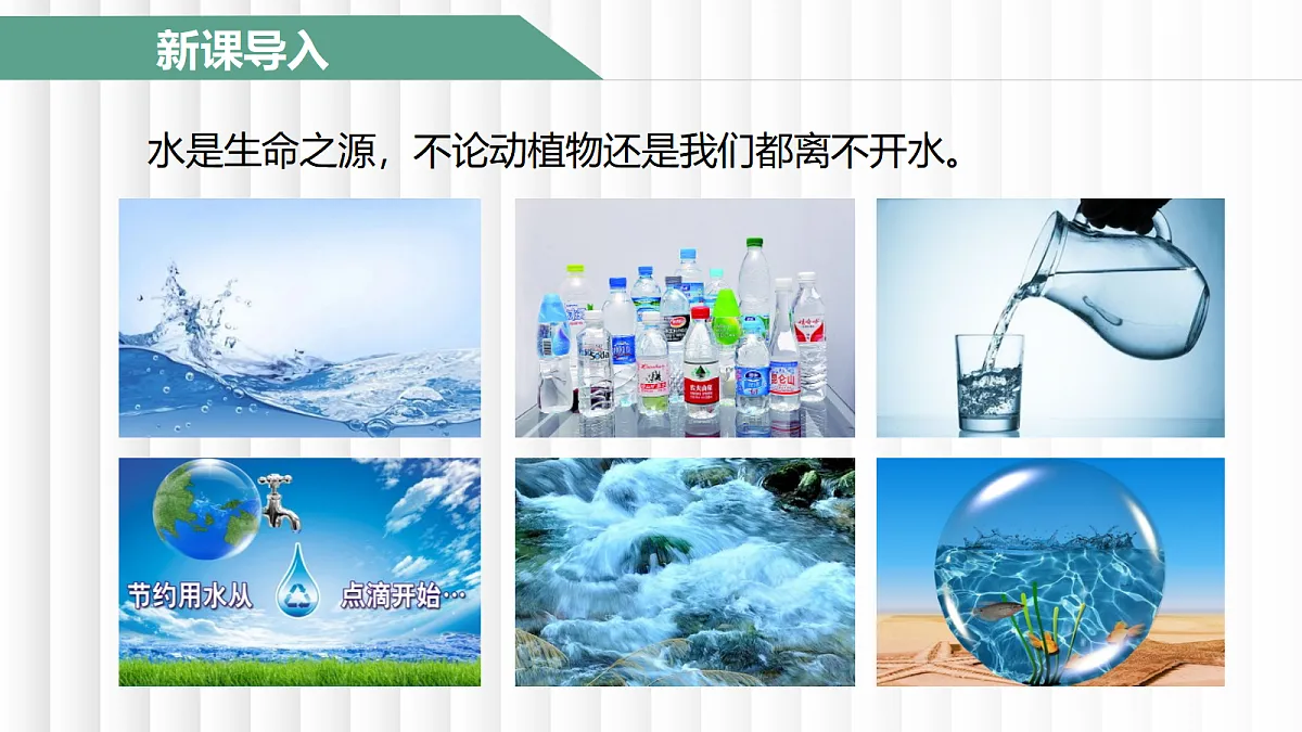 17442960第3页