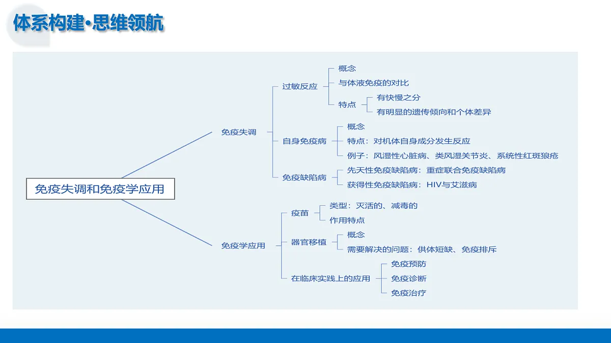 17442977第7页
