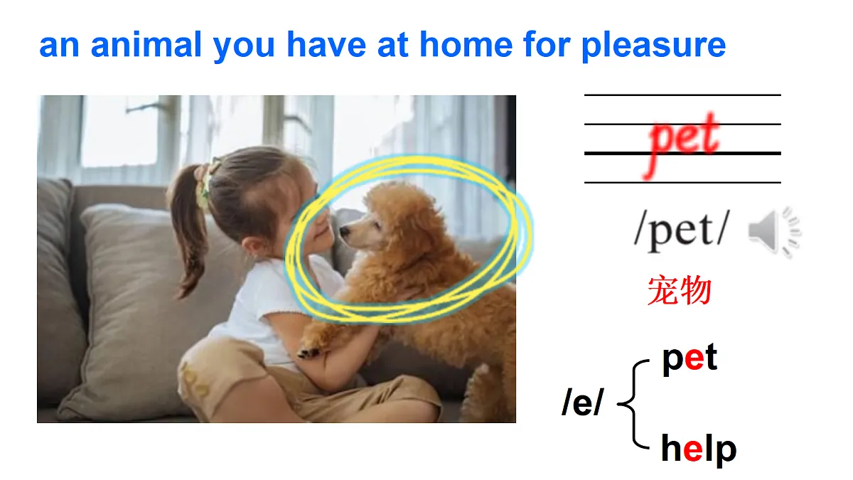 17443130第3页
