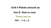 小学人教版PEP（2024）Unit 4 Plants around us Part B集体备课ppt课件