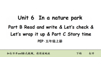 小学Unit 6 In a nature park Part B集体备课ppt课件
