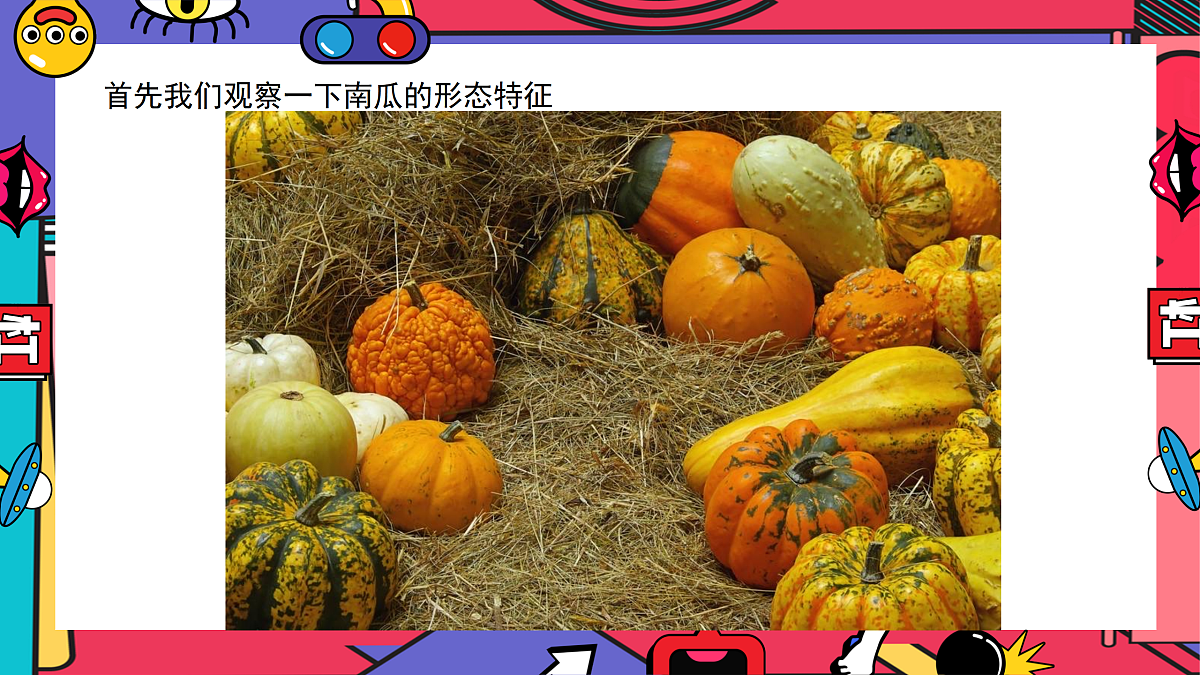 17443319第4页