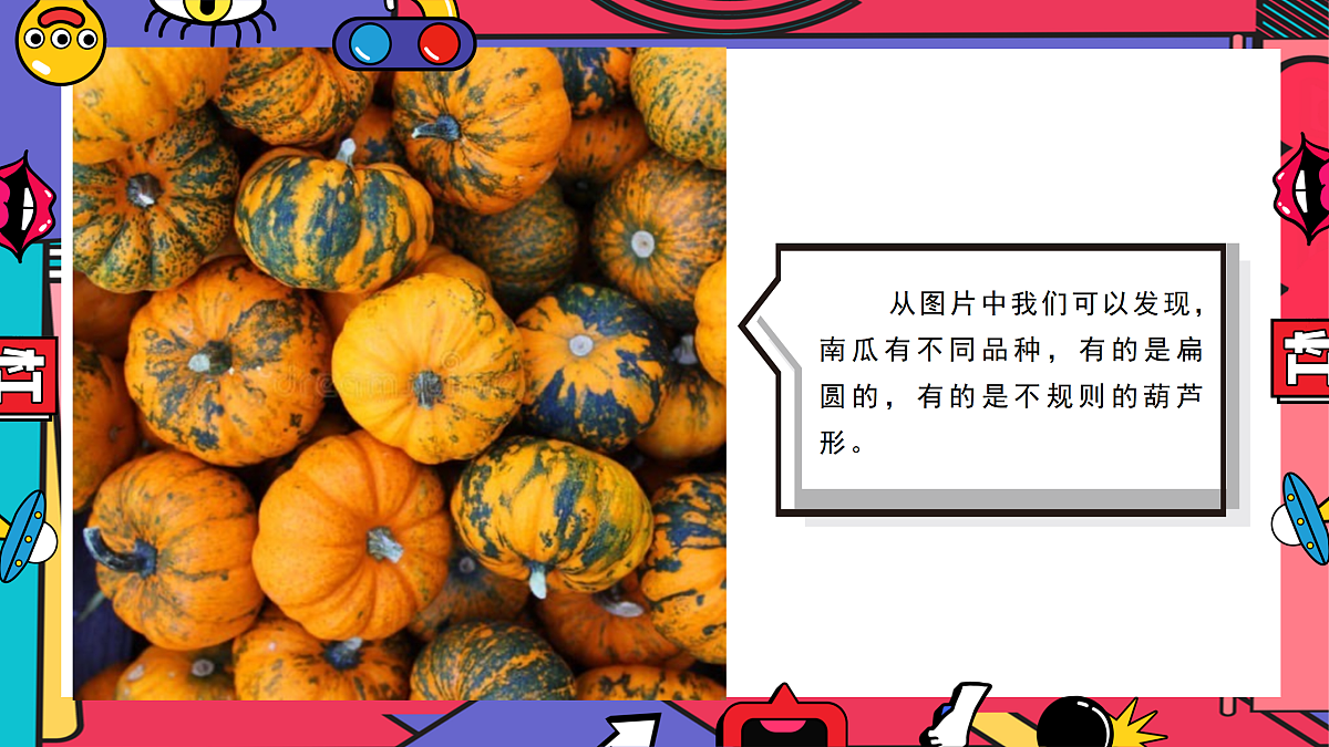 17443319第7页