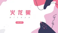 学前教育《火龙果》课件