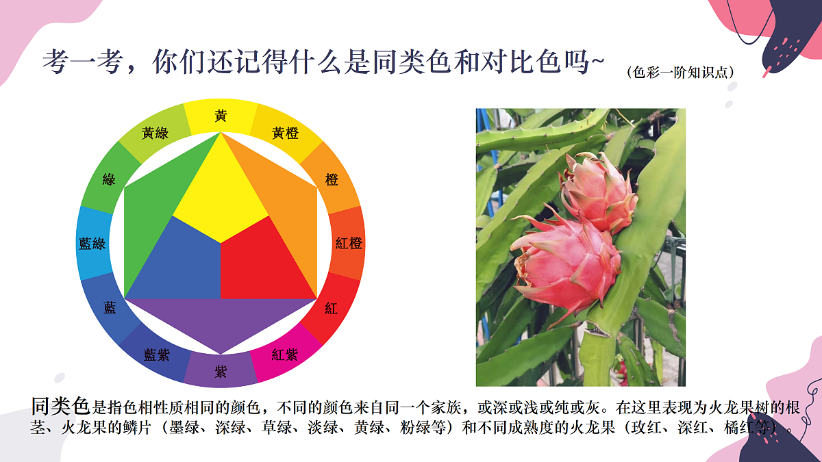 17443361第7页