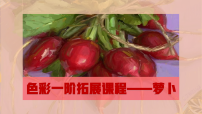 学前教育《萝卜》课件
