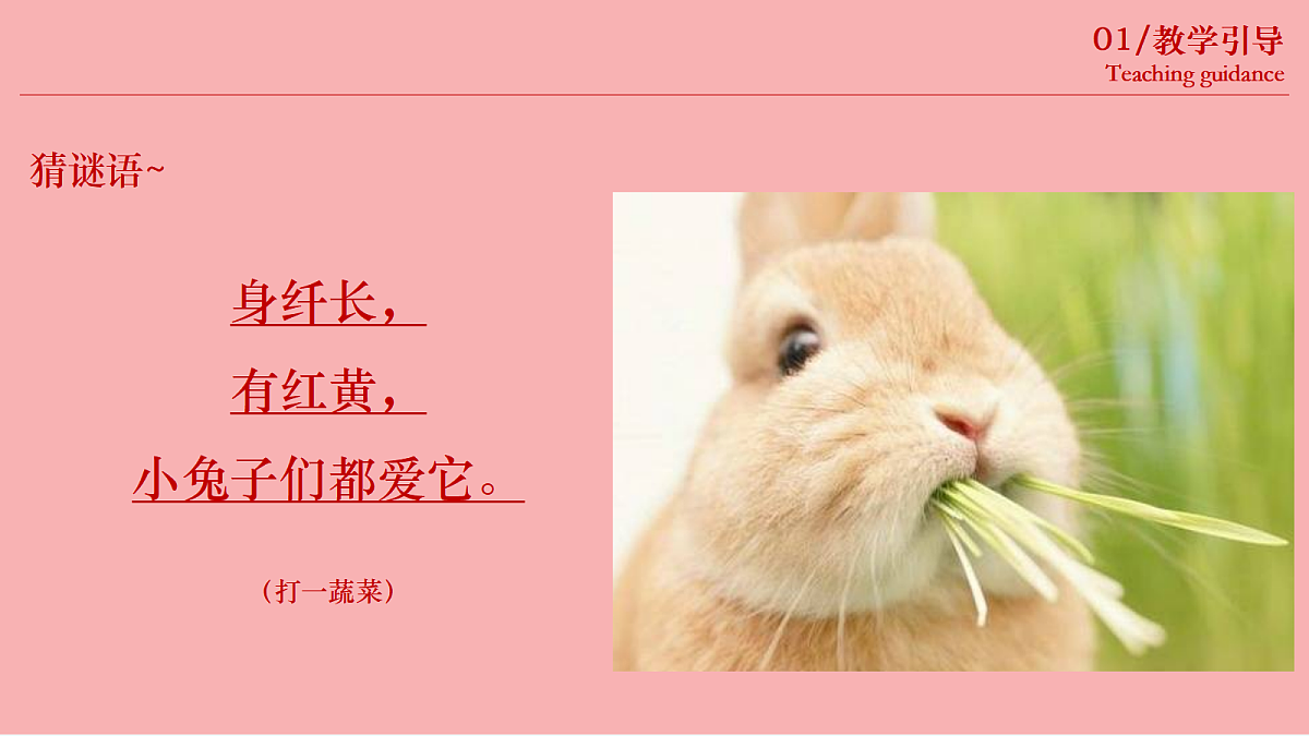 17443366第4页