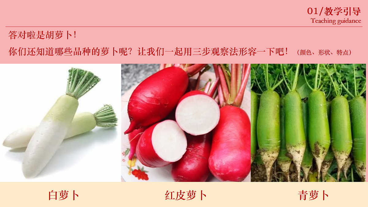 17443366第5页