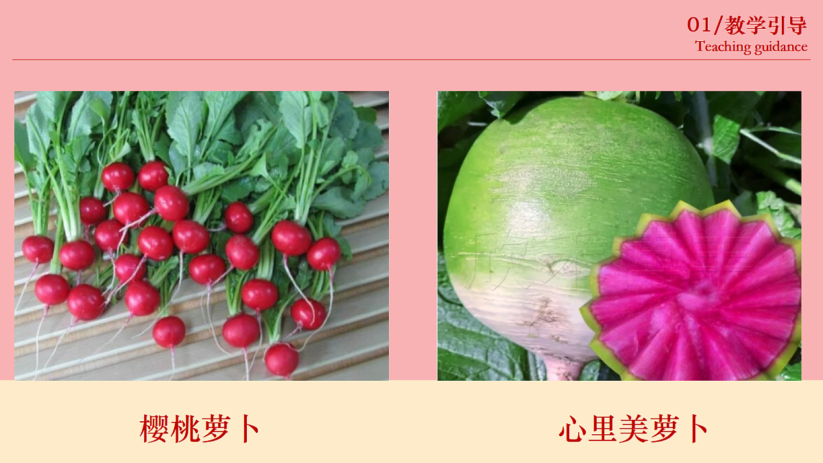 17443366第6页