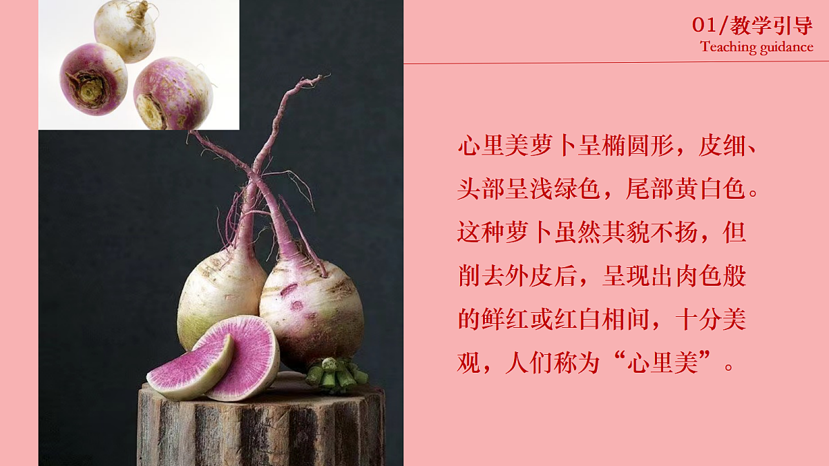 17443366第7页