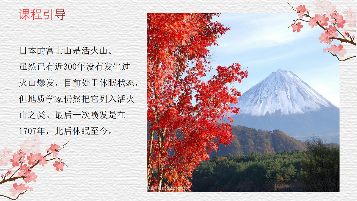 17443377第6页