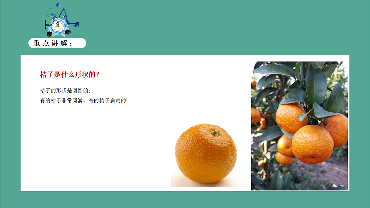 17443383第8页