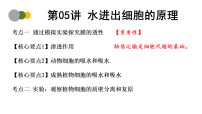 第05讲 水进出细胞的原理 2026高三生物一轮复习课件