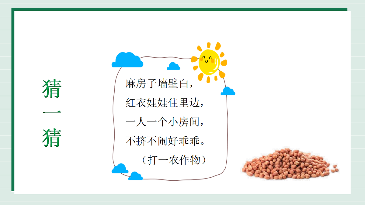 17445102第6页