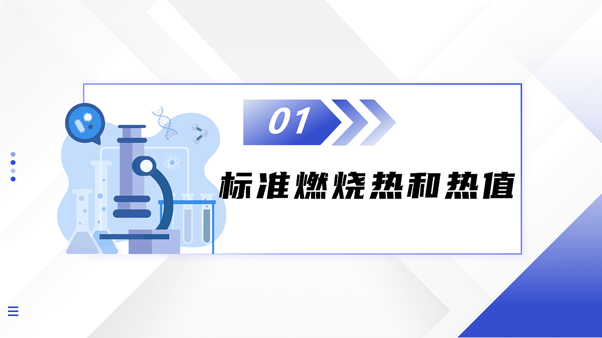 17446929第5页