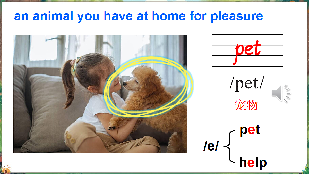 17446979第3页