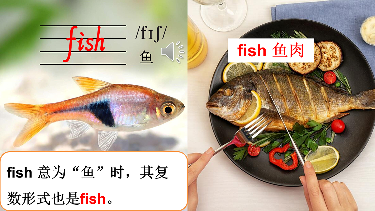 17446980第8页