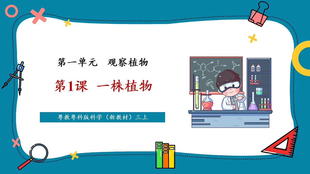 【新教材新课标】粤教粤科版科学三年级上册第1课《一株植物》教学课件+素材第1页