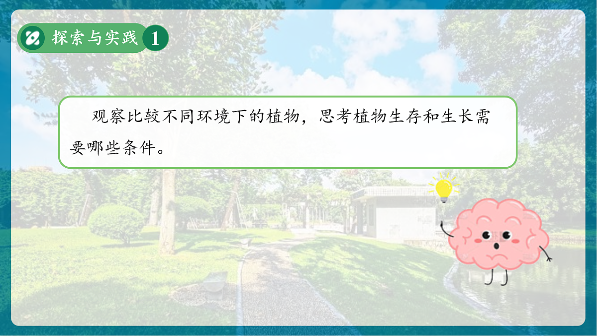 【新教材新课标】粤教粤科版科学三年级上册第2课《植物需要什么》教学课件+素材第6页