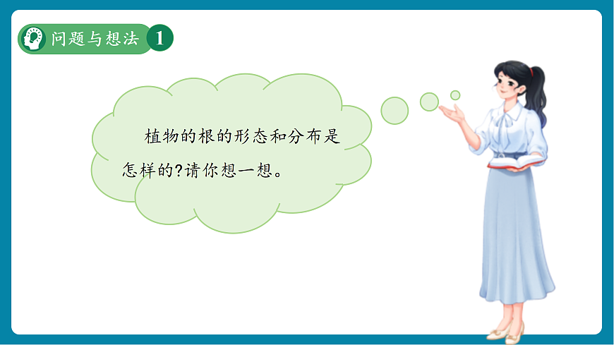 【新教材新課標(biāo)】粵教粵科版科學(xué)三年級上冊第3課《植物的根》教學(xué)課件+素材第4頁